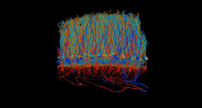 Electric Fish Keep From Blinding Themselves With These Brain Cells