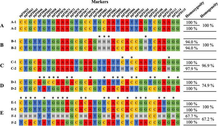 Case study for application of SNP chip across inbreeding population which bred and maintained by pureline selection.