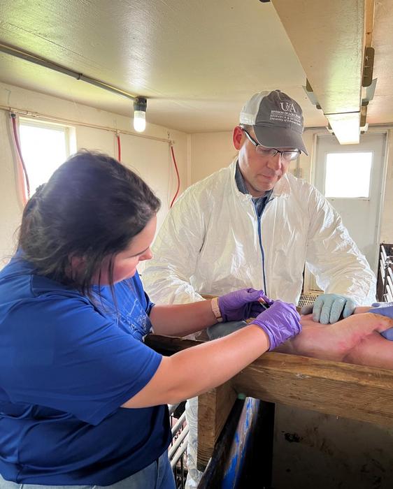 Biodegradable Microneedle Pain Patch Application