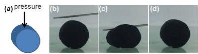Elastic Behavior
