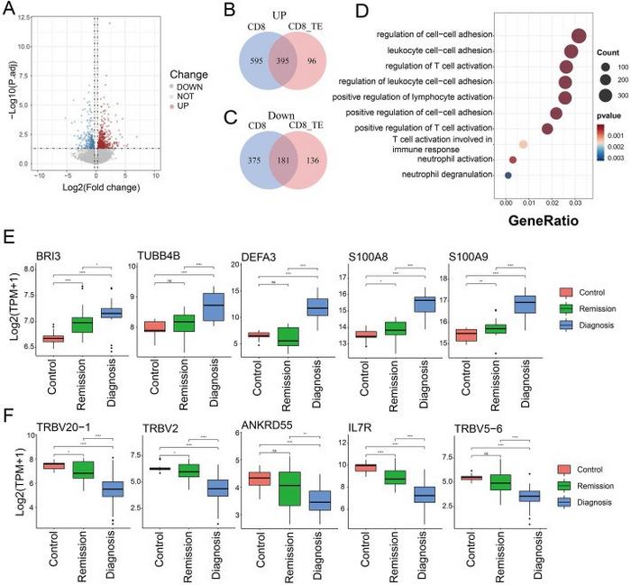 CD8 TE cell demonstrates CML-specific gene expression.