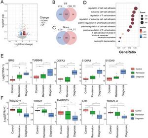 CD8 TE cell demonstrates CML-specific gene expression.