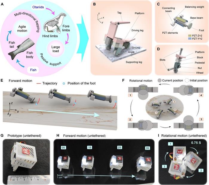 Biomimetic features, detailed structure, actuating principle, and motion characteristic testing of the robot.