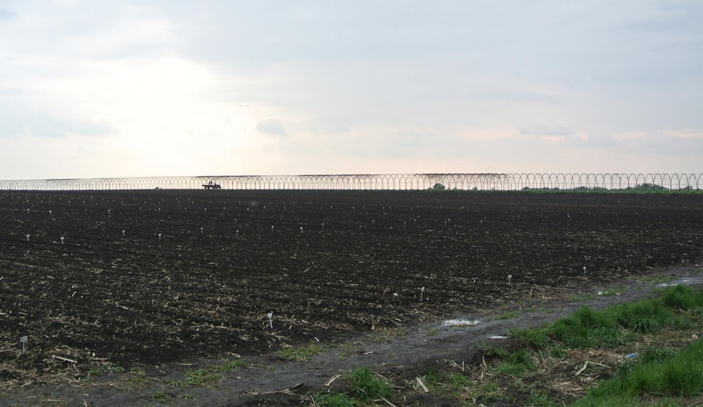 Corn Stubble in Northeastern China