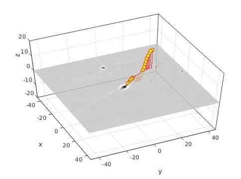 3-D Reconstructed Flagella