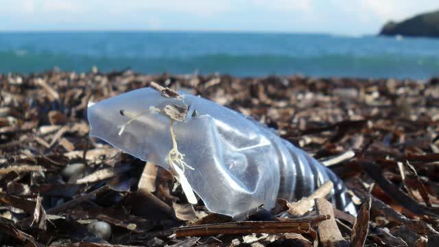 The missing ocean plastic sink: Gone with the rivers