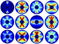 Rotation Steps