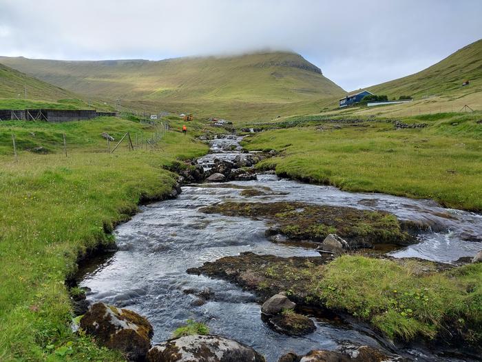 A typical Faroese stream near a sheep farm