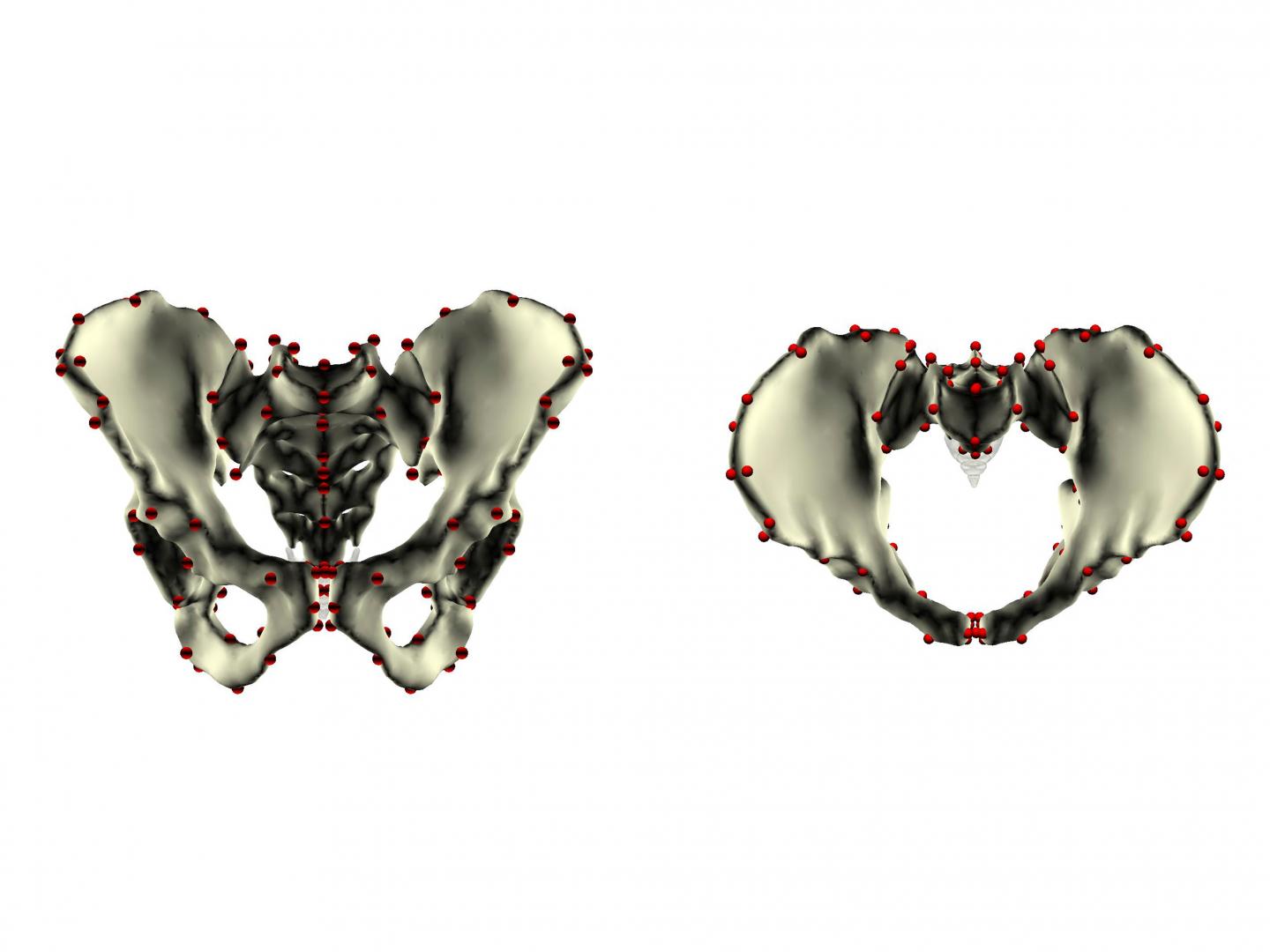 3-D Data