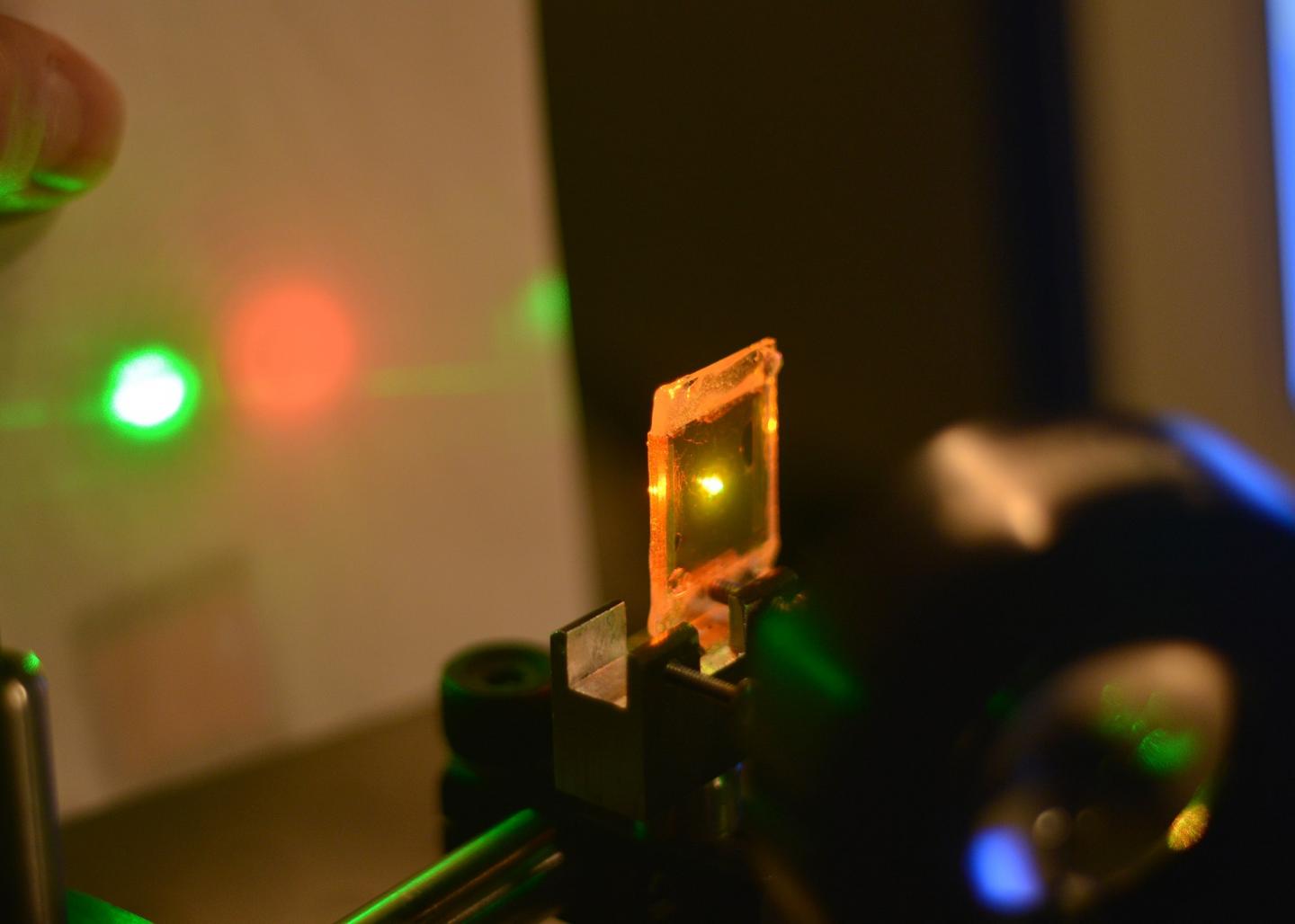 Liquid Crystal Elastomer