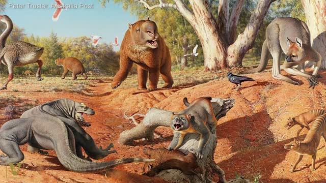 Sahul Extinction