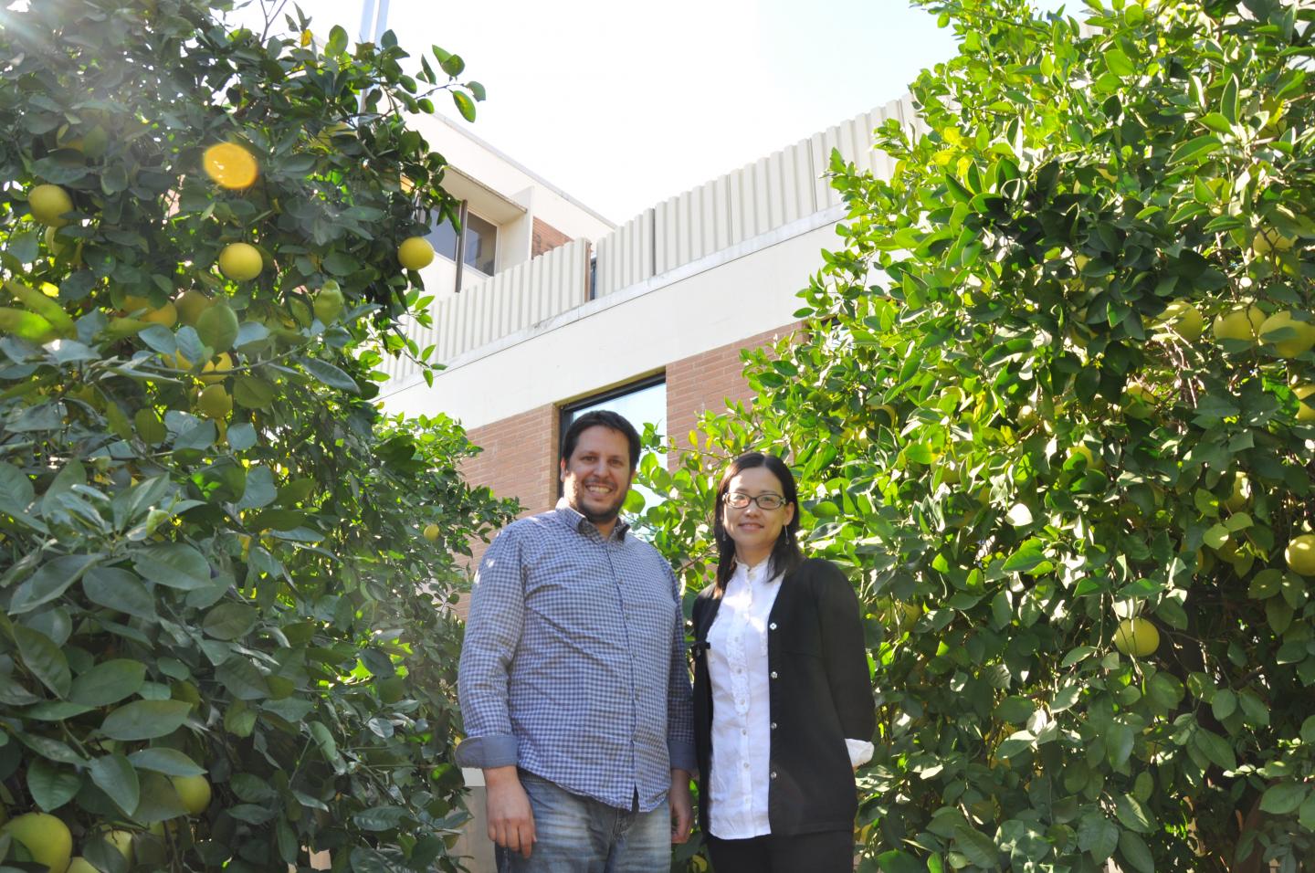 Georgios Vidalkakis and Wenbo Ma