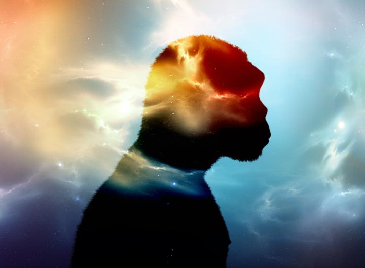 Archaic Human