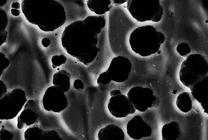 New protein-based system enables plastic recycling with reusable enzymes