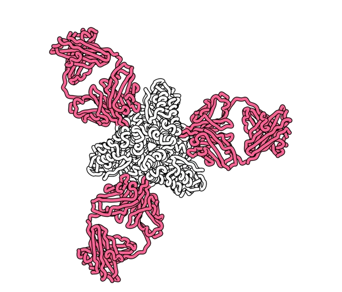 Antibodies vs. measles