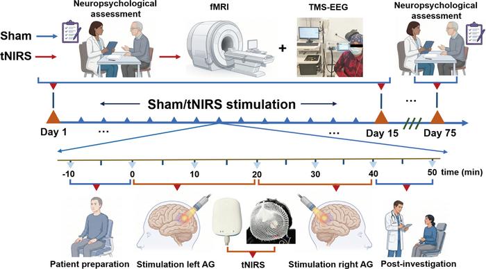 Overview of tNIRS treatment paradigm