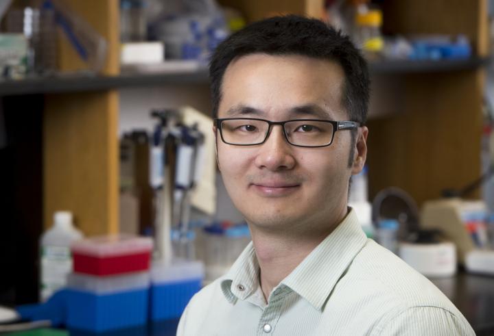 Jim Sun, University of Alabama at Birmingham