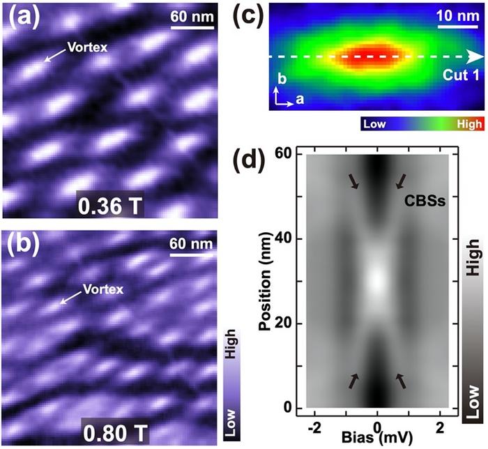 Figure 2. Spatial distribution of magnetic vortex lattice and absence of Majorana bound state in vortex core of WS2 with stripes.