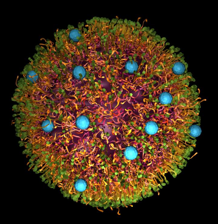 Scheme of a Nanoparticle