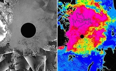 Arctic Ice Concentration in 2006