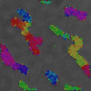 Rendering of micron-scale magnetic colloidal particles