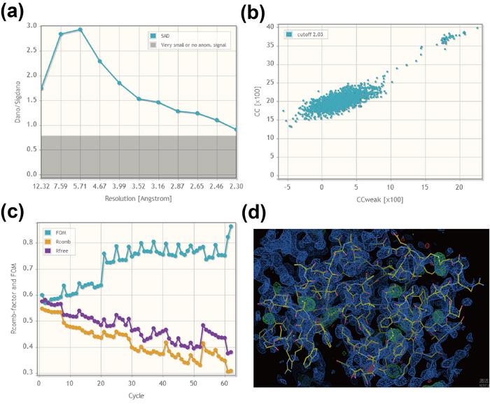 SAD phasing results from lysozyme data collected at 2.02 Å wavelength, processed using Crank2.