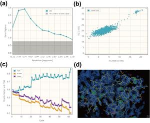 SAD phasing results from lysozyme data collected at 2.02 Å wavelength, processed using Crank2.