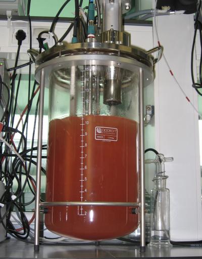 Membrane Bioreactor