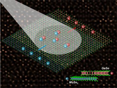 Atomically Thin Solar Cell