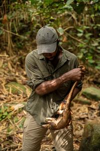 Charles Emogor with a white-bellied pangolin captured by a hunter who participated in the study.