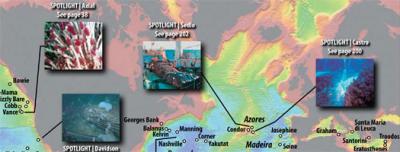 Seamounts