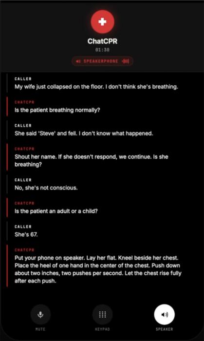 Screenshot of ChatCPR in action