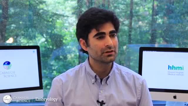 Autism Linked to an Egg Cell's Difficultly Producing Large Proteins