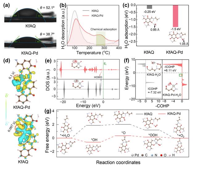 Pd–CNO2 enhances efficient H2O2 photosynthesis on keto-form anthraquinone-based covalent organic framework
