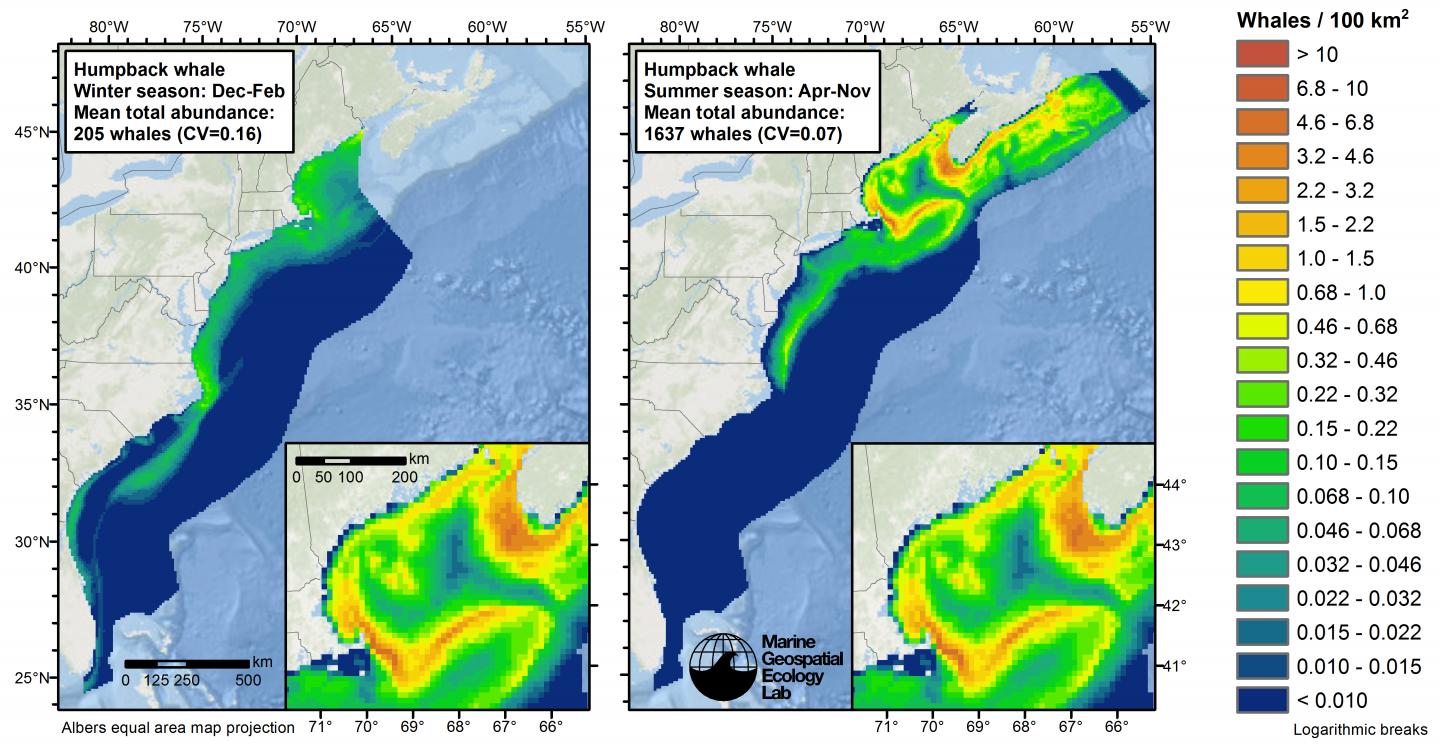 Cetacean Density Map