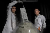 T Cells in Liquid Nitrogen