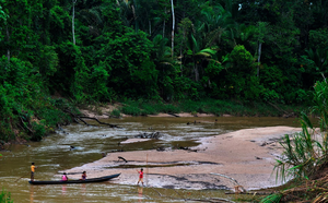 Brazilian Amazonia