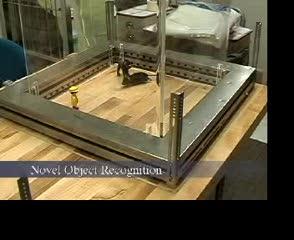 Typical Novel Object Recognition