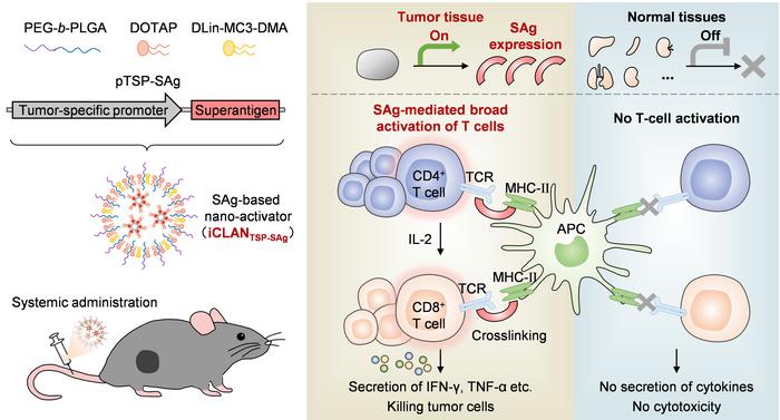 Tumor-confined nano-activators for spatially restricted T-cell activation.