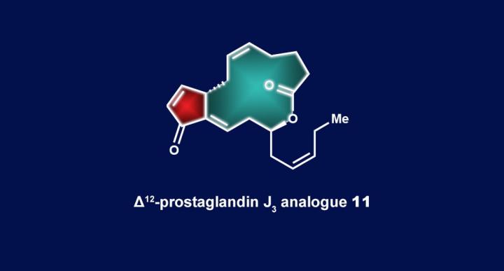 Schematic of Macrolactone 11