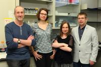 Researchers