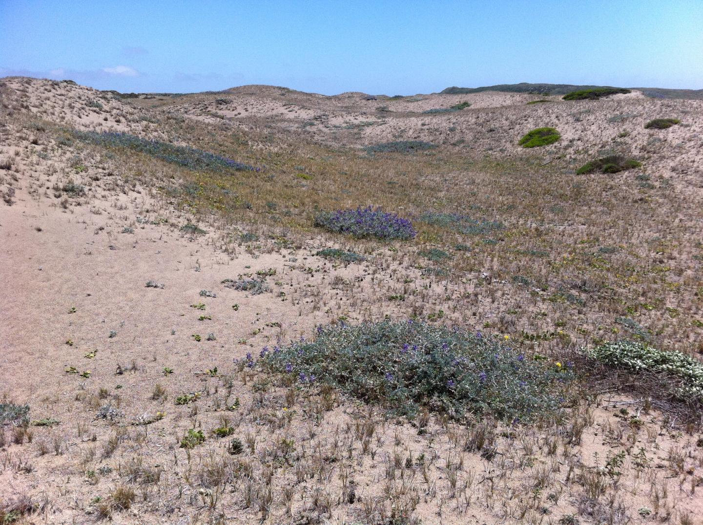 Contrasting Microhabitats