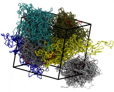 Chromosome