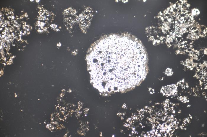 Chondrules in a meteorite sample