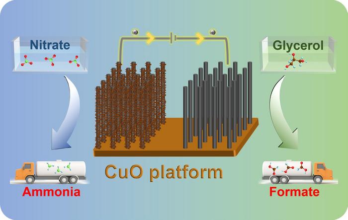 Copper-based platform for bifunctional electrocatalysis