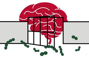 Mast cells, the brain's gatekeepers