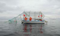 Seal-Safe Fishing Gear