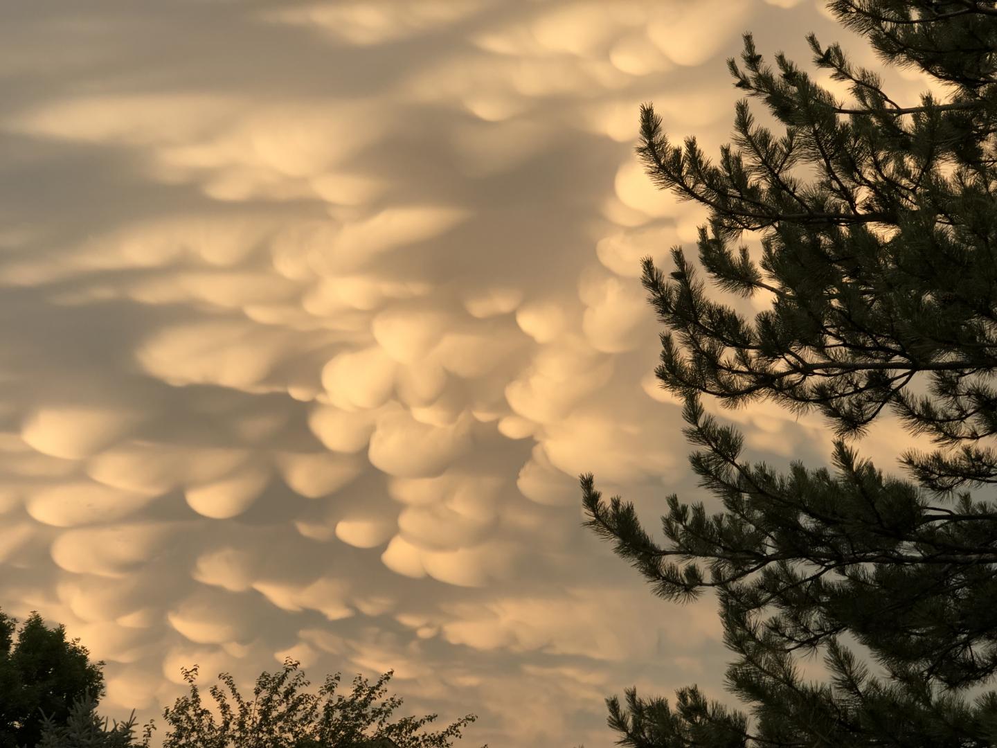 Mammatus Clouds