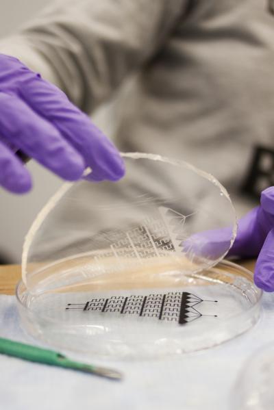 Microfluidic Channel