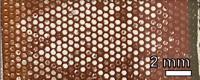 Scaffolds in a Compound Solar Cell